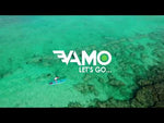 10' Full Coiled SUP Paddleboard Leash - Classic Collection - Full Coil Leash - VAMO - www.vamolife.com