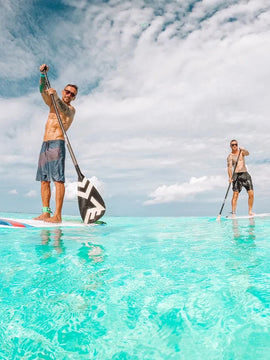 Carbon-Fiberglass Adjustable Paddle with ABS Edge  - Black